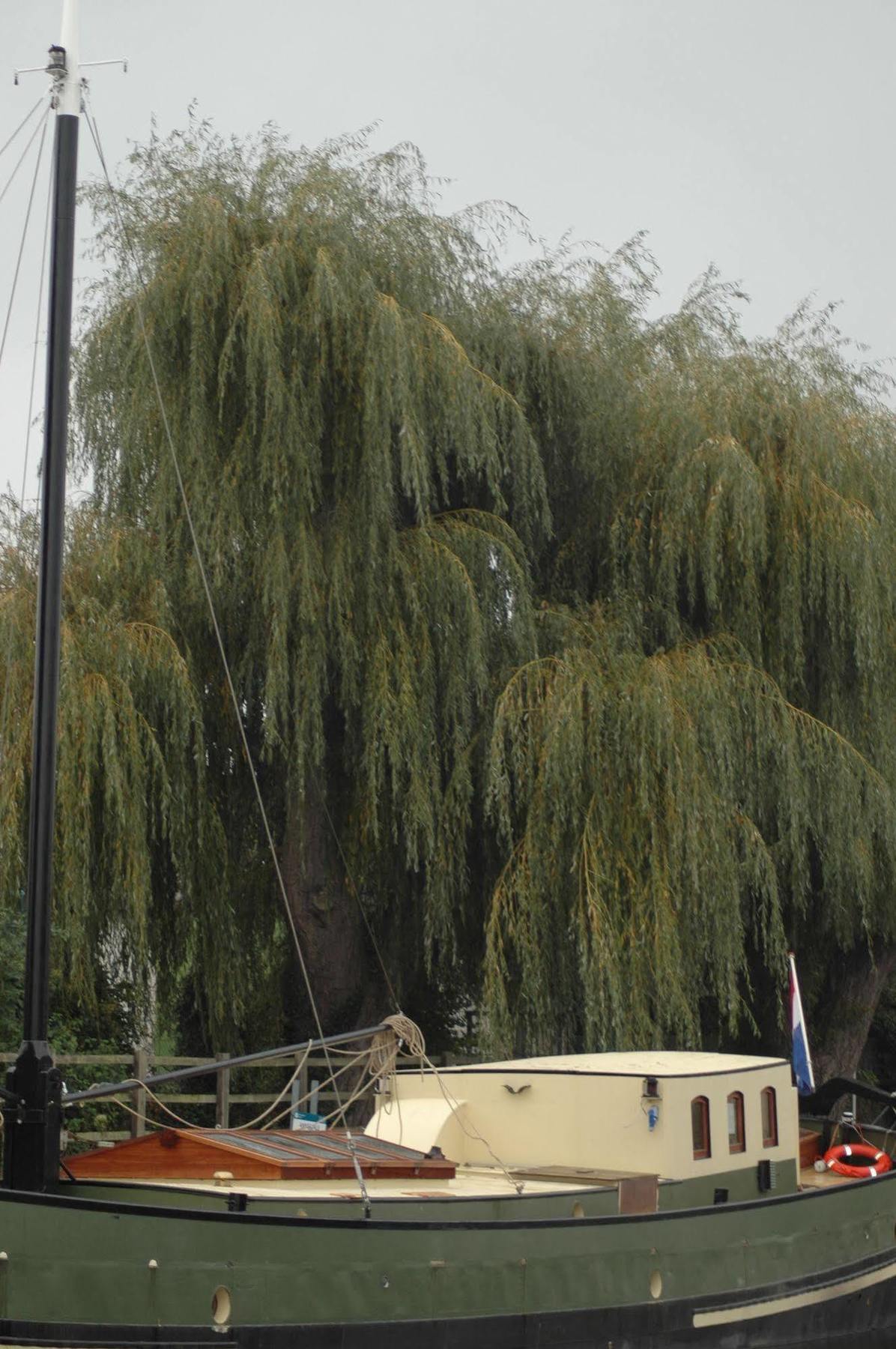 Hotel Barge Waternimf Ely Buitenkant foto